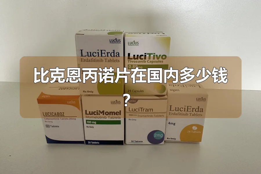 比克恩丙诺片在国内多少钱?